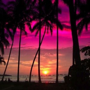 Meet your Posher, Krystal